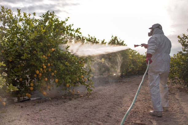 Best Pest Prevention Services  in University, FL