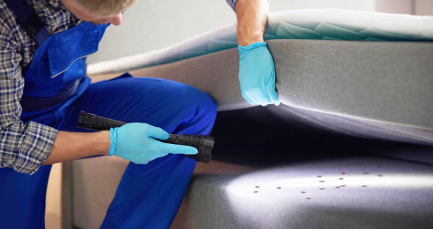 Best Mosquito Control Services  in University, FL