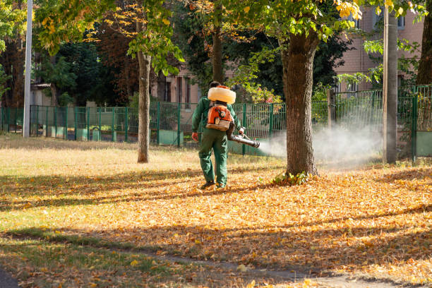 Flea Control Services in University, FL