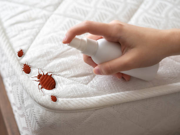  University, FL Pest Control Pros