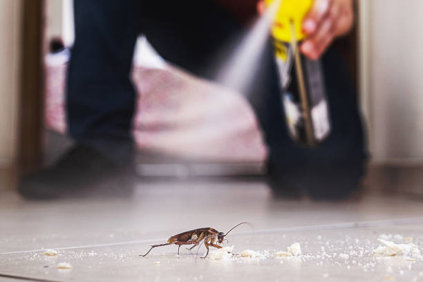 Best Cockroach Control Services  in University, FL