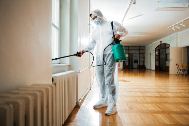 Best Bed Bug Extermination  in University, FL