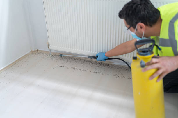 Reliable University, FL Pest Control Solutions