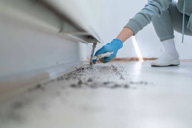 Best Emergency Pest Control  in University, FL