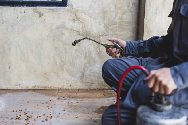 Best Emergency Pest Control  in University, FL