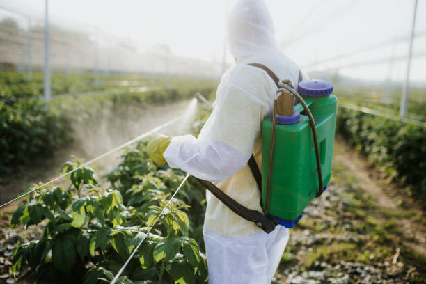 Best Cockroach Control Services  in University, FL